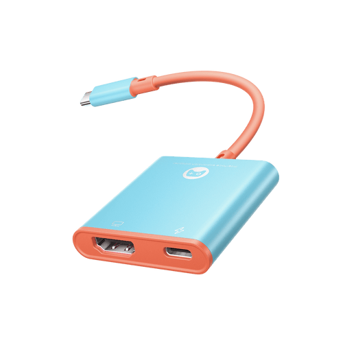 Switch 2 二合一底座适配器