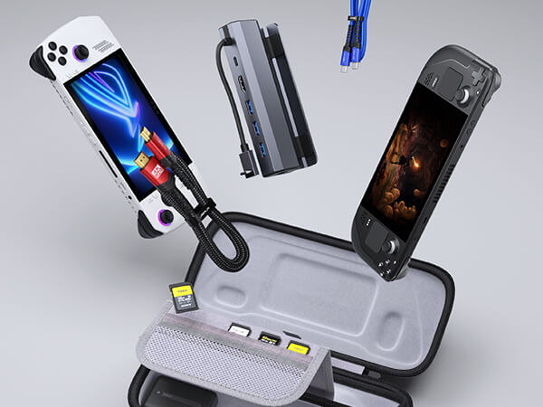 Carrying Case for Handheld